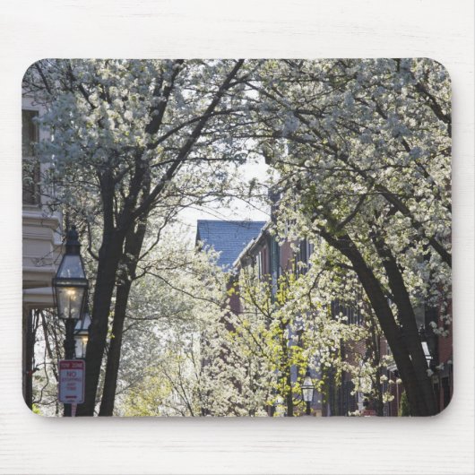 USA, Massachusetts, Boston, Beacon Hill. Mousepad (Vorne)