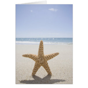 USA, Massachusetts, Cape Cod, Nantucket, nah