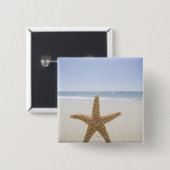 USA, Massachusetts, Cape Cod, Nantucket, nah Button (Vorne & Hinten)