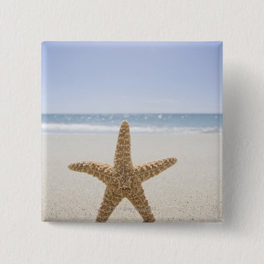 USA, Massachusetts, Cape Cod, Nantucket, nah Button (Vorderseite)