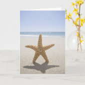 USA, Massachusetts, Cape Cod, Nantucket, nah Karte (Gelbe Blume)