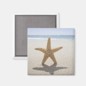 USA, Massachusetts, Cape Cod, Nantucket, nah Magnet (Vorderseite/Rückseite)