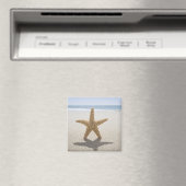 USA, Massachusetts, Cape Cod, Nantucket, nah Magnet (In Situ (Geschirrspüler))