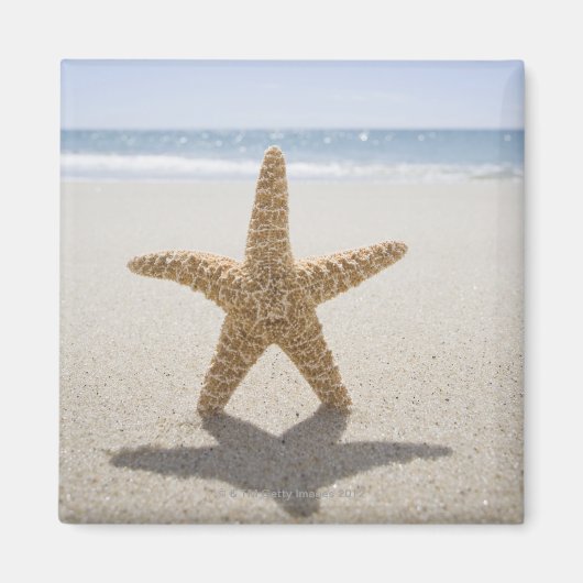 USA, Massachusetts, Cape Cod, Nantucket, nah Magnet (Vorne)