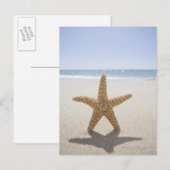 USA, Massachusetts, Cape Cod, Nantucket, nah Postkarte (Vorne/Hinten)