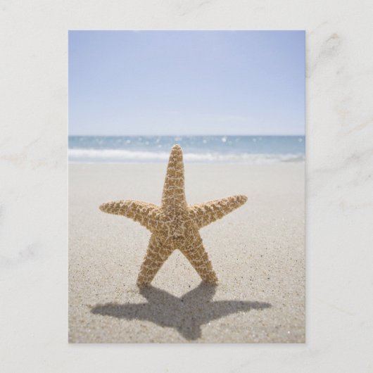USA, Massachusetts, Cape Cod, Nantucket, nah Postkarte (Vorderseite)