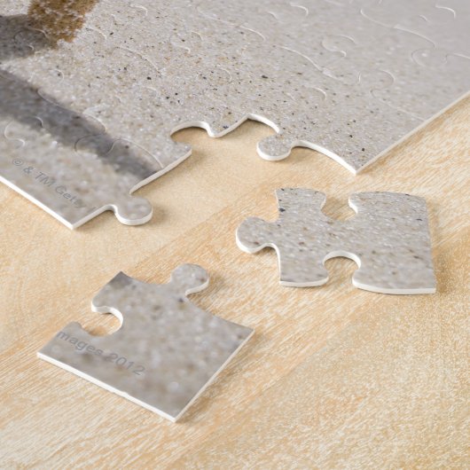 USA, Massachusetts, Cape Cod, Nantucket, nah Puzzle (Seite)