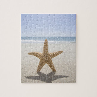 USA, Massachusetts, Cape Cod, Nantucket, nah Puzzle