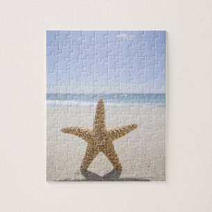 USA, Massachusetts, Cape Cod, Nantucket, nah Puzzle