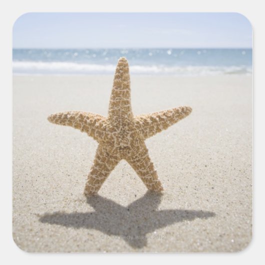 USA, Massachusetts, Cape Cod, Nantucket, nah Quadratischer Aufkleber (Vorderseite)