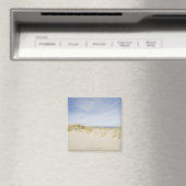 USA, Massachusetts, Cape Cod, Nantucket, Sand Magnet (In Situ (Geschirrspüler))