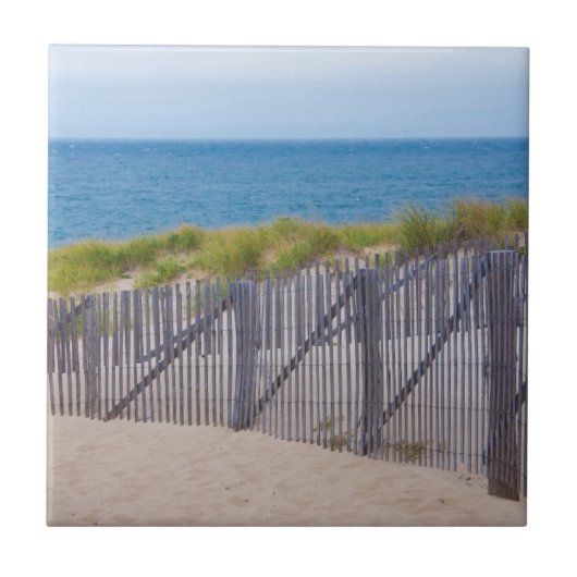 USA, Massachusetts. Dünen und Wege Fliese (Vorderseite)