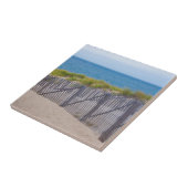 USA, Massachusetts. Dünen und Wege Fliese (Seite)