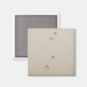 USA, Massachusetts, Hundebahn auf Sand Magnet (Vorderseite/Rückseite)