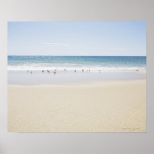 USA, Massachusetts, leerer Strand 3 Poster