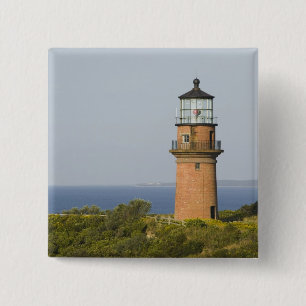 USA, MASSACHUSETTS, Martha's Vineyard: Aquinnah Button