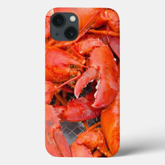 USA, Massachusetts, Martha's Vineyard Case-Mate iPhone Hülle (Rückseite)