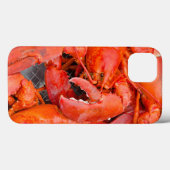 USA, Massachusetts, Martha's Vineyard Case-Mate iPhone Hülle (Rückseite (Horizontal))