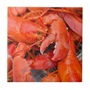 USA, Massachusetts, Martha's Vineyard Fliese