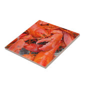 USA, Massachusetts, Martha's Vineyard Fliese (Seite)