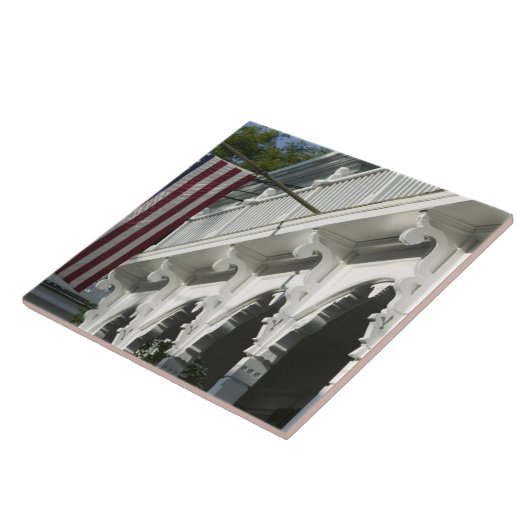 USA, MASSACHUSETTS, Martha's Vineyard: Fliese (Seite)