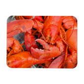 USA, Massachusetts, Martha's Vineyard Magnet (Horizontal)