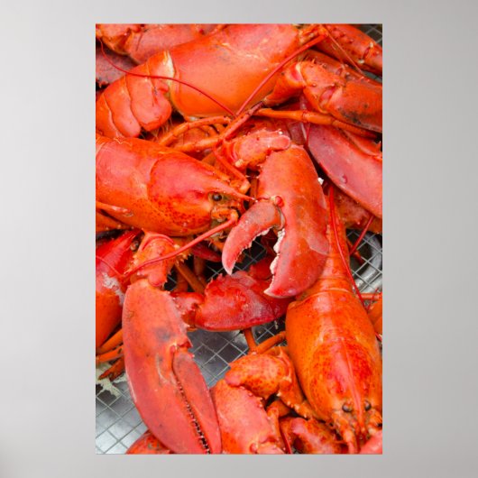 USA, Massachusetts, Martha's Vineyard Poster (Vorne)