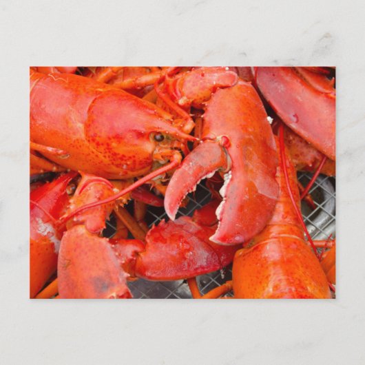 USA, Massachusetts, Martha's Vineyard Postkarte (Vorderseite)