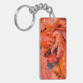 USA, Massachusetts, Martha's Vineyard Schlüsselanhänger (Vorderseite links)