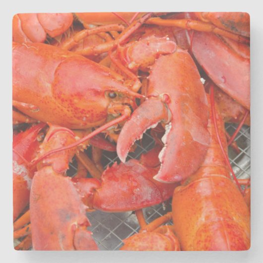 USA, Massachusetts, Martha's Vineyard Steinuntersetzer (Vorderseite)