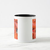 USA, Massachusetts, Martha's Vineyard Tasse (Zentrum)