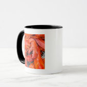 USA, Massachusetts, Martha's Vineyard Tasse (Vorderseite Links)