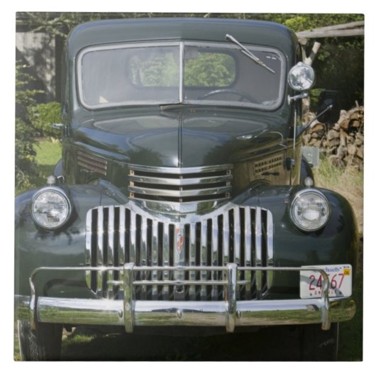 USA, MASSACHUSETTS, Martha's Vineyard: West4 Fliese (Vorderseite)