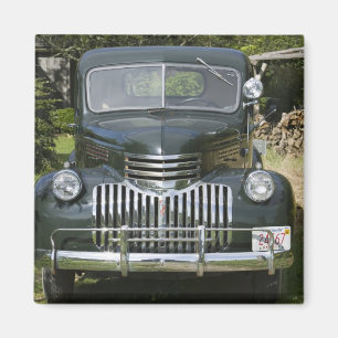 USA, MASSACHUSETTS, Martha's Vineyard: West4 Magnet