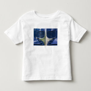 USA, MASSACHUSETTS, Martha's Vineyard: West 2 Kleinkind T-shirt