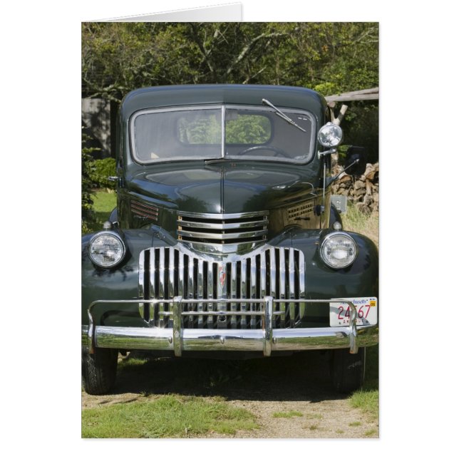 USA, MASSACHUSETTS, Martha's Vineyard: West 4 (Vorne)