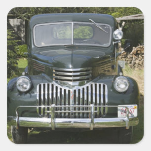 USA, MASSACHUSETTS, Martha's Vineyard: West 4 Quadratischer Aufkleber