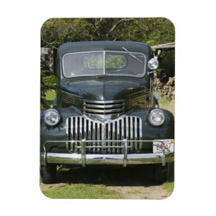 USA, MASSACHUSETTS, Martha's Vineyard: Westen 4 Magnet