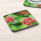 USA, Massachusetts, Nantucket. Himbeeren Untersetzer (Linke Seite)