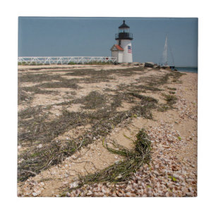 USA, Massachusetts, Nantucket. Muschel Fliese