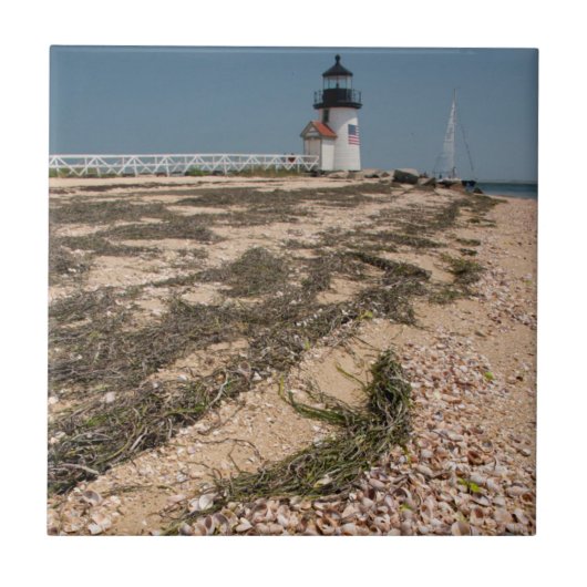 USA, Massachusetts, Nantucket. Muschel Fliese (Vorderseite)