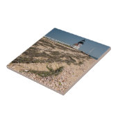 USA, Massachusetts, Nantucket. Muschel Fliese (Seite)