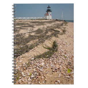 USA, Massachusetts, Nantucket. Muschel Notizblock