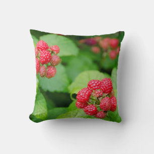 USA, Massachusetts, Nantucket. Reife Himbeeren Kissen