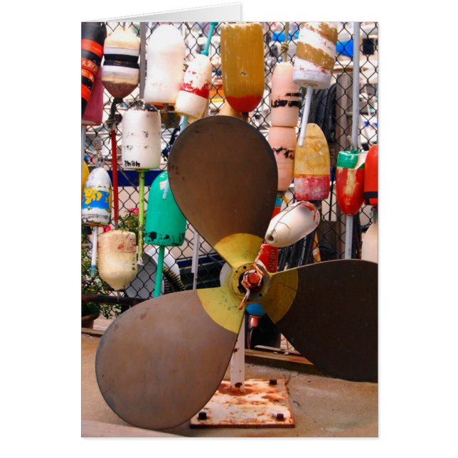 USA, Massachusetts. Propeller und Schwimmer (Vorne)