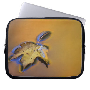 USA, Michigan, Ahornblatt schwimmt auf Wasser Laptopschutzhülle