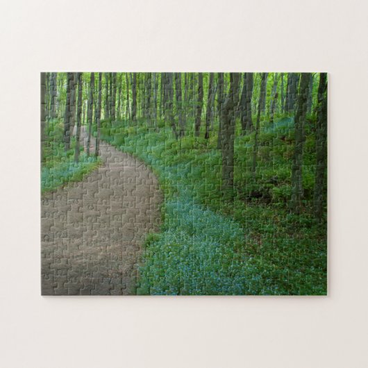 USA, Michigan. Bergfallpfad Puzzle (Horizontal)