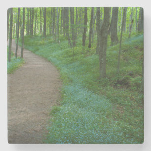 USA, Michigan. Bergfallpfad Steinuntersetzer