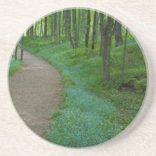 USA, Michigan. Bergfallpfad Untersetzer (Vorne)