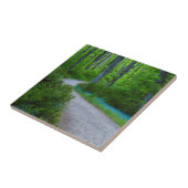 USA, Michigan. Der Weg durch den Wald Fliese (Seite)